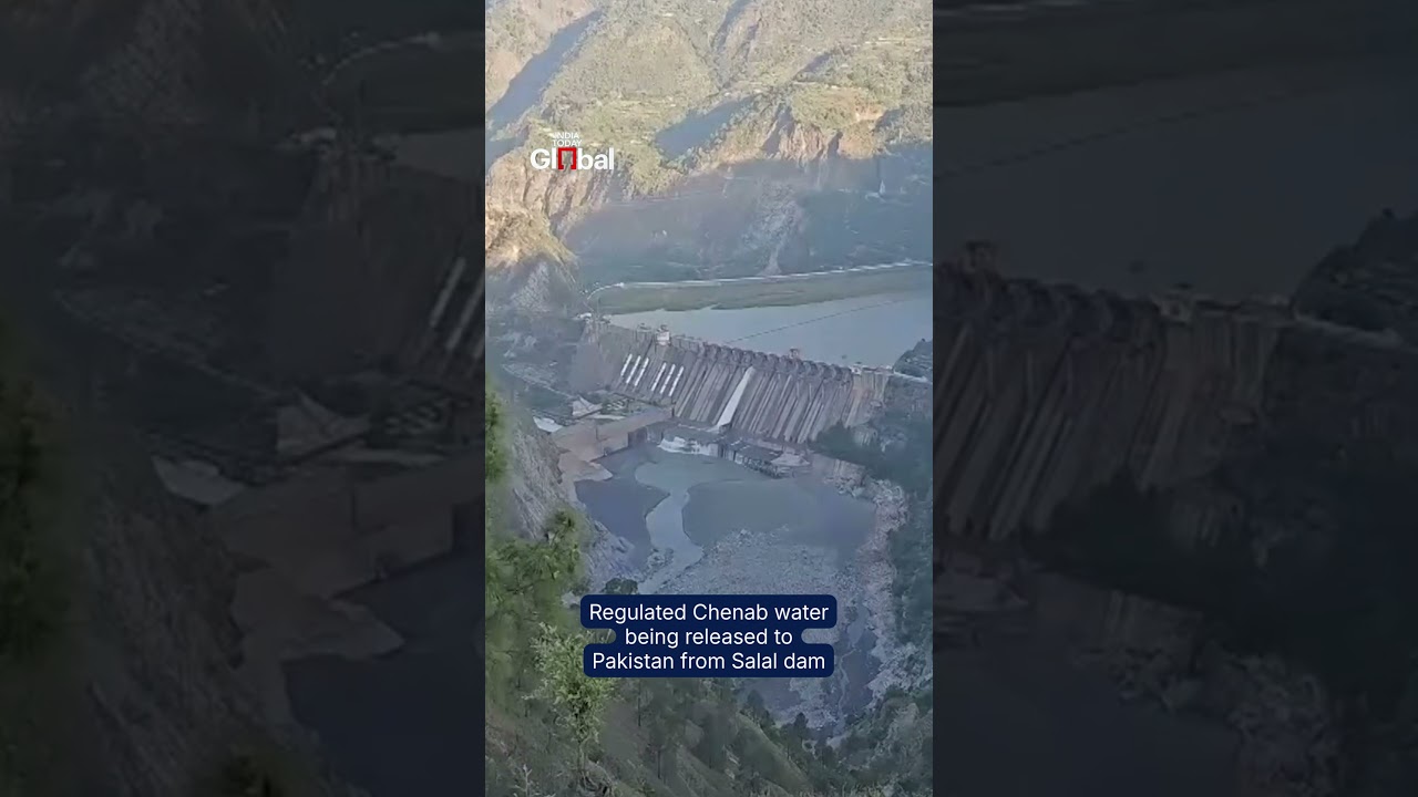 India Opens Sala Dam In J&K For Flow Of Water From The Chenab River To Pakistan | #pakistan #india