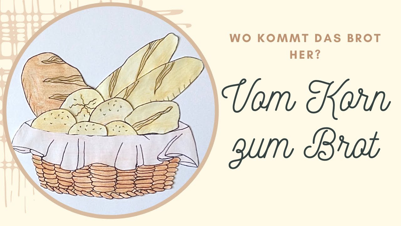 Vom Korn zum Brot: Wo kommt das Brot her?