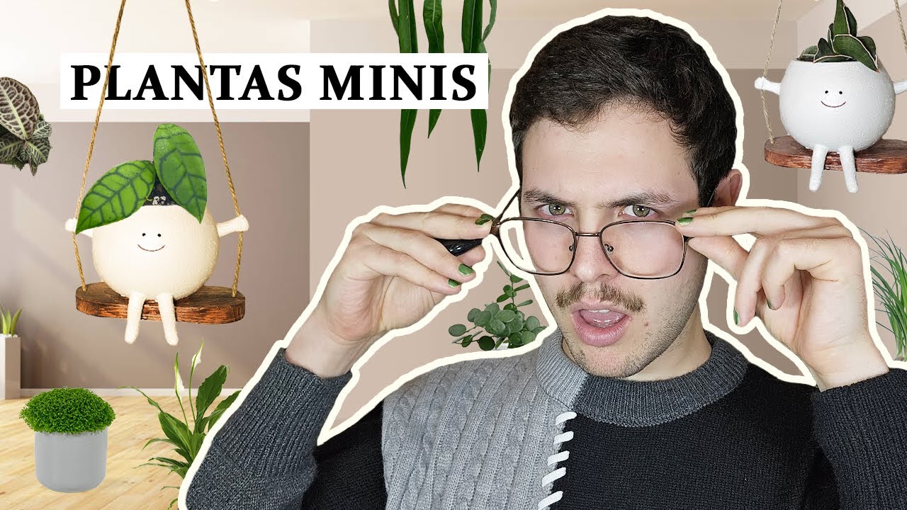TOP 8 plantas minis - 2025