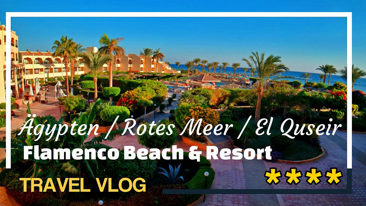 ✨ Flamenco Beach & Resort – El Quseir | Ägypten ✨ - 4 Sterne Hotel | TRAVEL VLOG | Urlaub