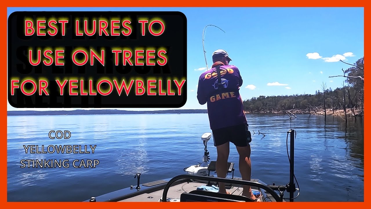 Best plastics for Yellowbelly on trees!