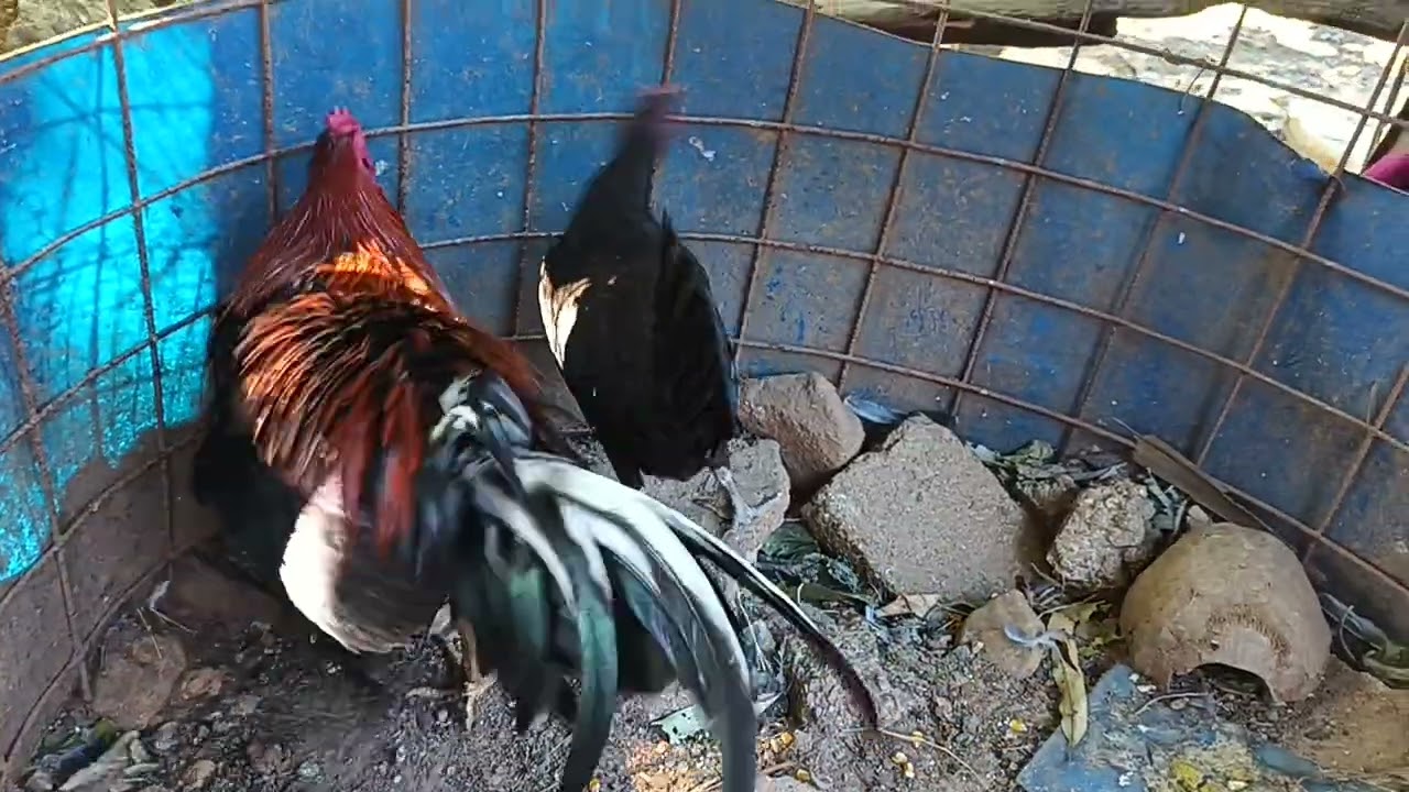Seguimos trabajando con Dios 