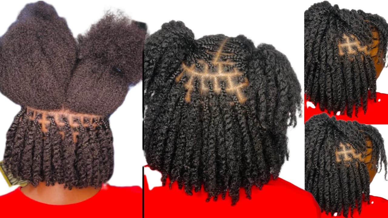 How to COCO TWISTS on Natural Hair NO EXTENSION ADDED #cocotwist #twist #twostrandtwist