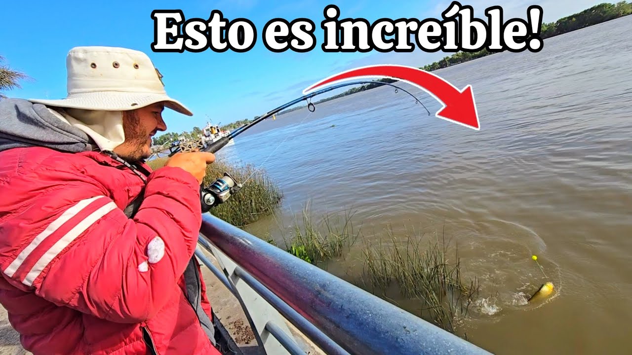 Pescamos en la COSTANERA DE ZÁRATE y disfrutamos de un hermoso día, mucha pesca y variada MJPESCA