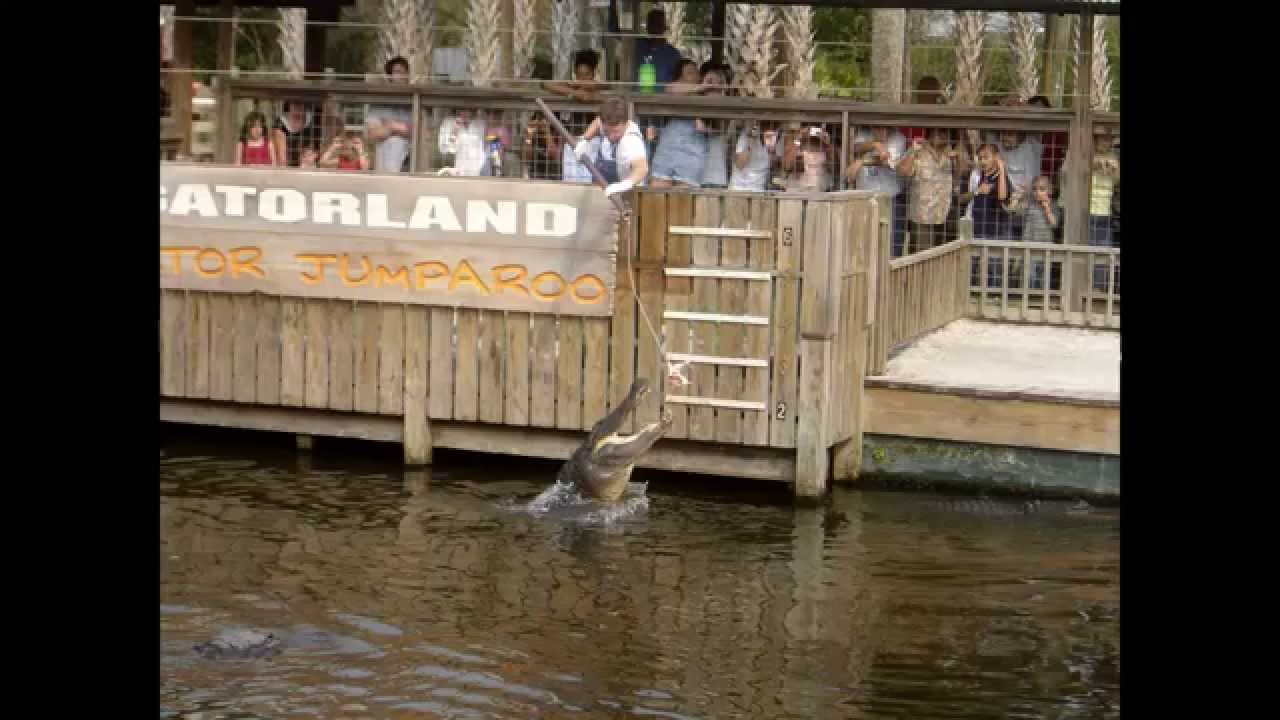 30 Offers within two minutes from Bestoforlando.com