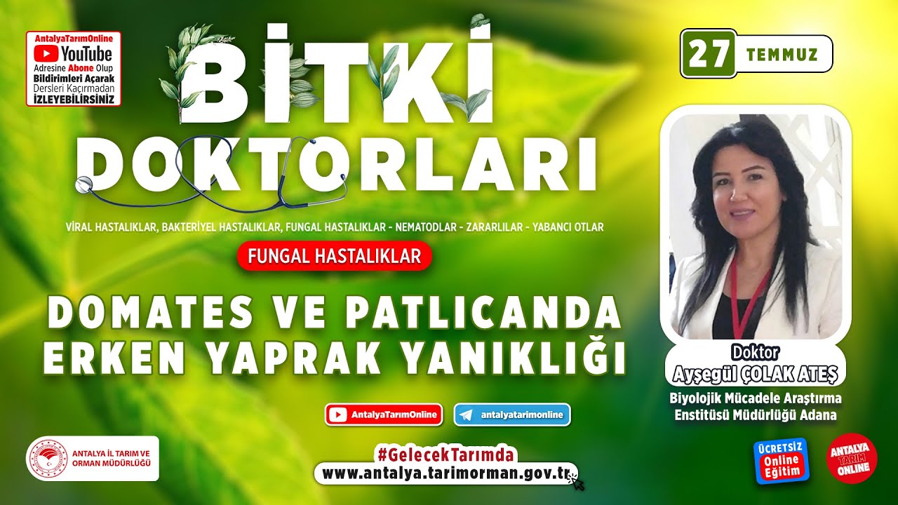 Bitki Doktorları 10-Domates ve Patlıcanda Erken Yaprak Yanıklığı( Alternaria solani )ve Mücadelesi
