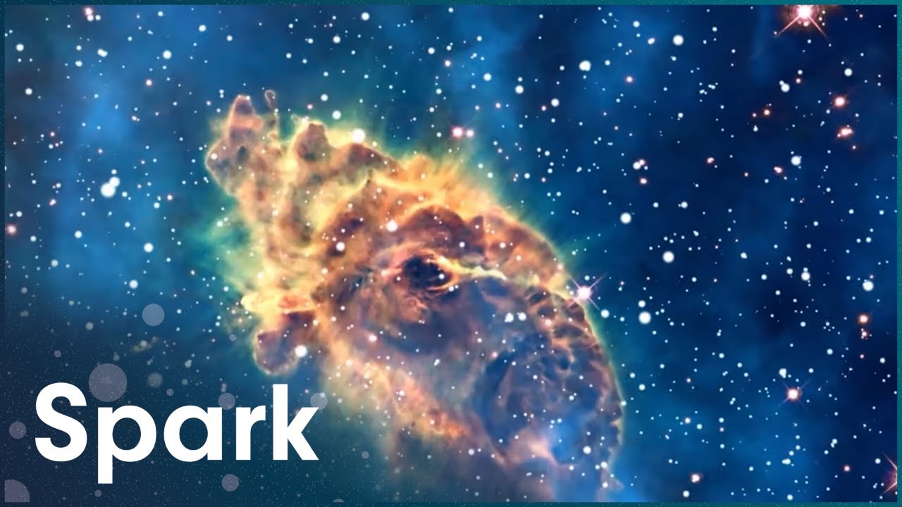 Was The Universe Made Just For Us?