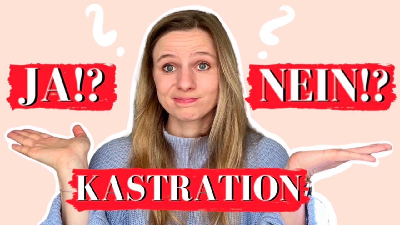 KASTRATION HÜNDIN I VOR-/NACHTEILE und unsere ENTSCHEIDUNG
