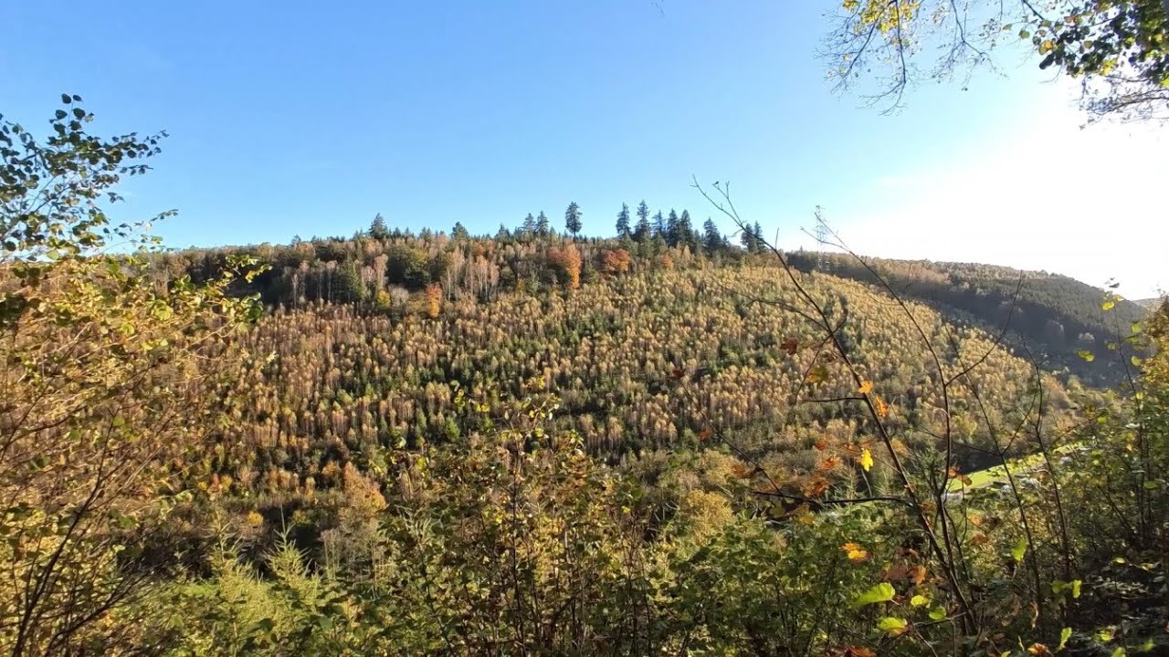 Wild Camping in Ardennes, Belgium