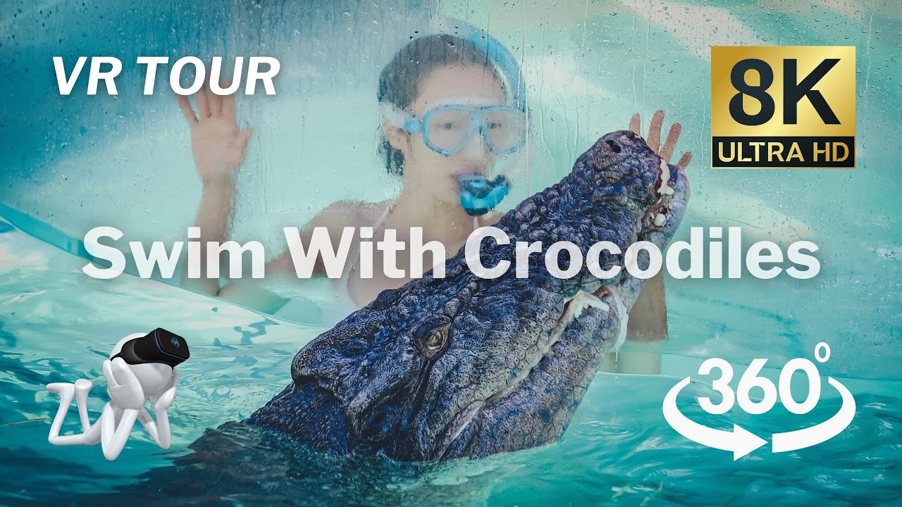【360&deg;VR】SWIM with CROCODILE - Virtual Nature Relaxation 8K Video