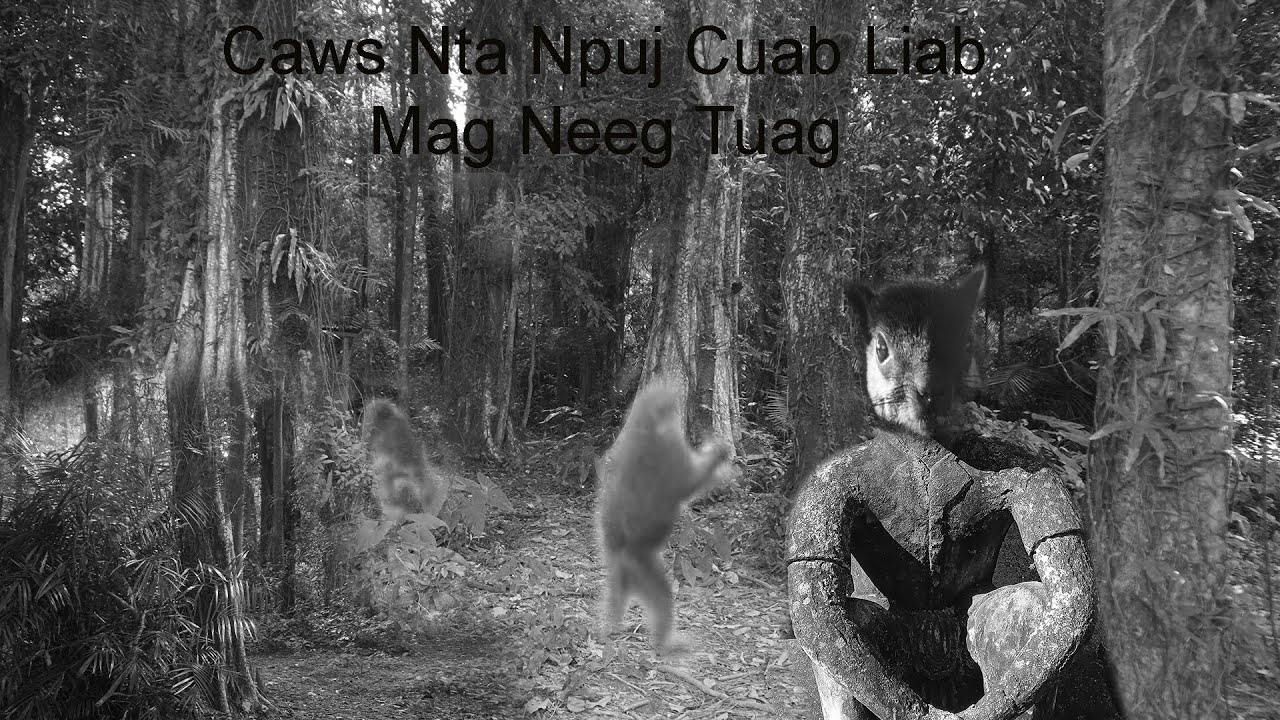 Nov 6, 2024 Yawg Yaj Txiab Caws Nta Npuj Cuab Liab Mag Neeg Tuag