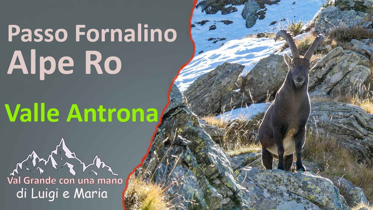 Valle Antrona: Passo Fornalino-Alpe Ro 07-10-25