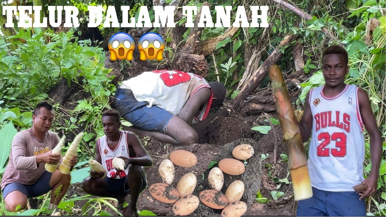 CARI REBUNG BULUH KUNING SEMPAT JUGA GALI TELUR DALAM TANAH // HASILNYA TAK SIA2