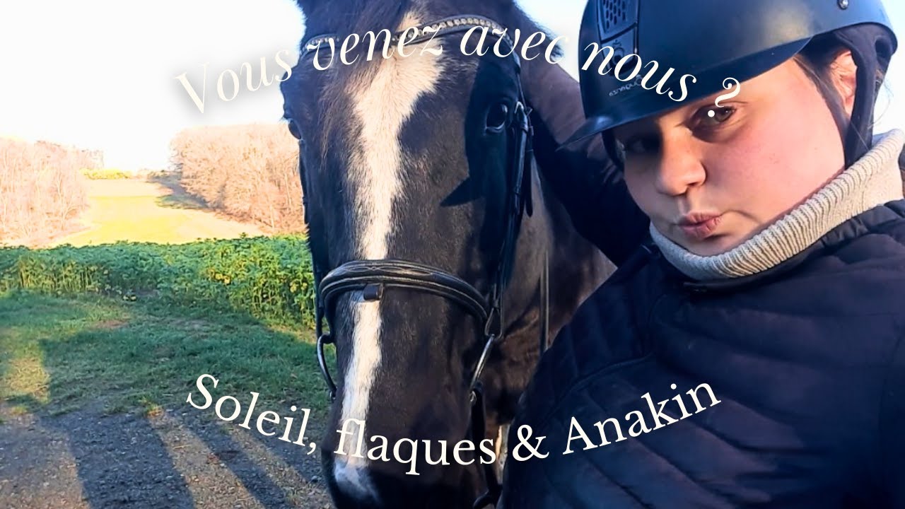 On part promener avec Anakin ?