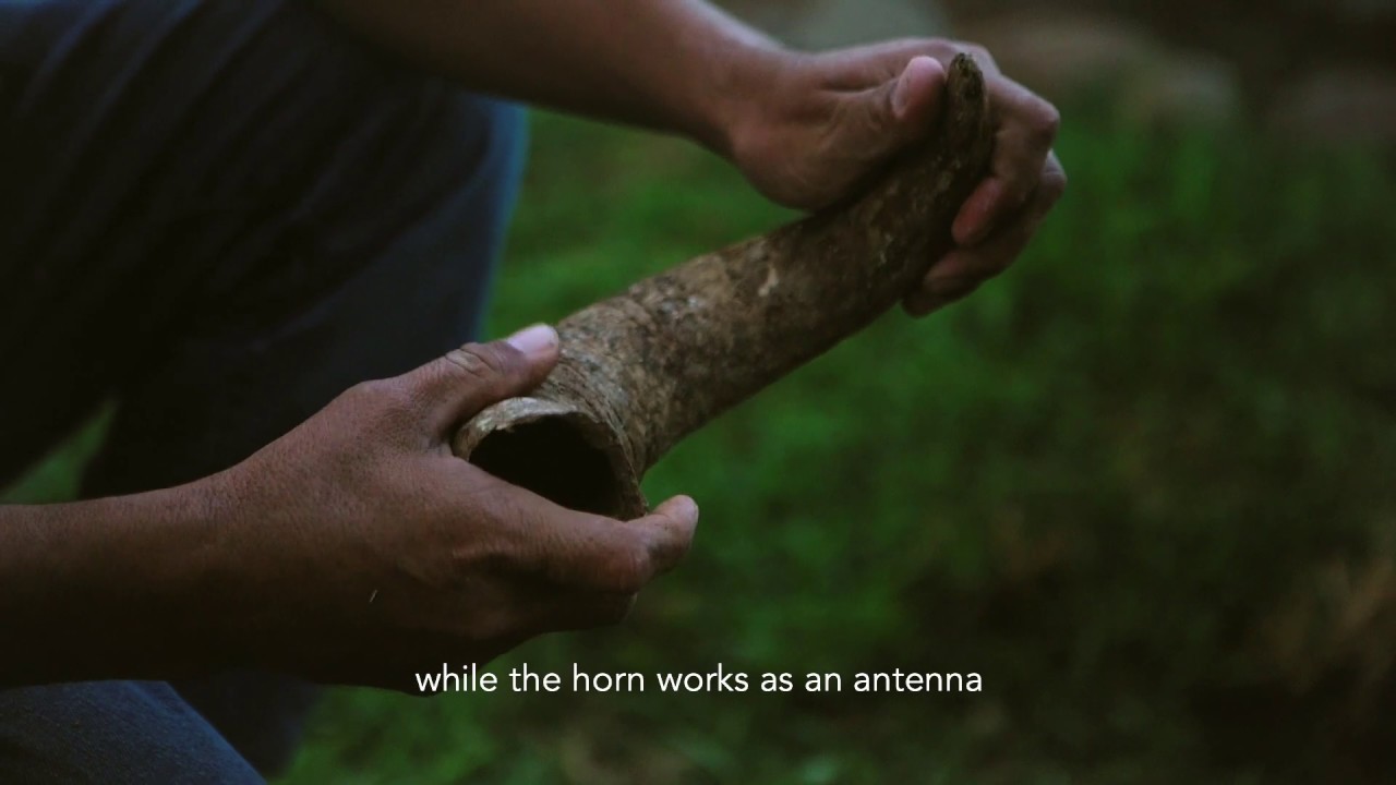 CUIXMALA | Las Hortalizas: Biodynamic Farming