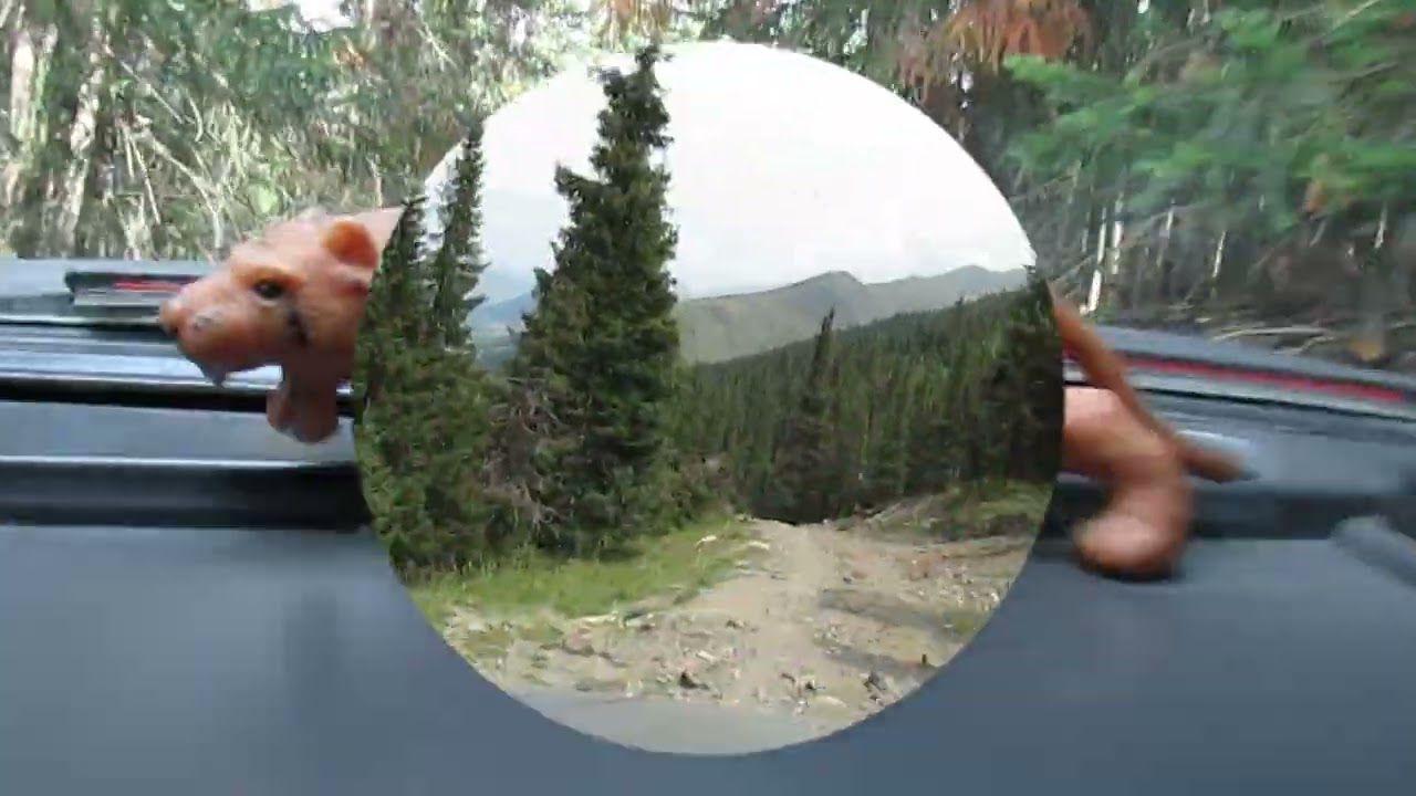 Путешествие по реке Коксу