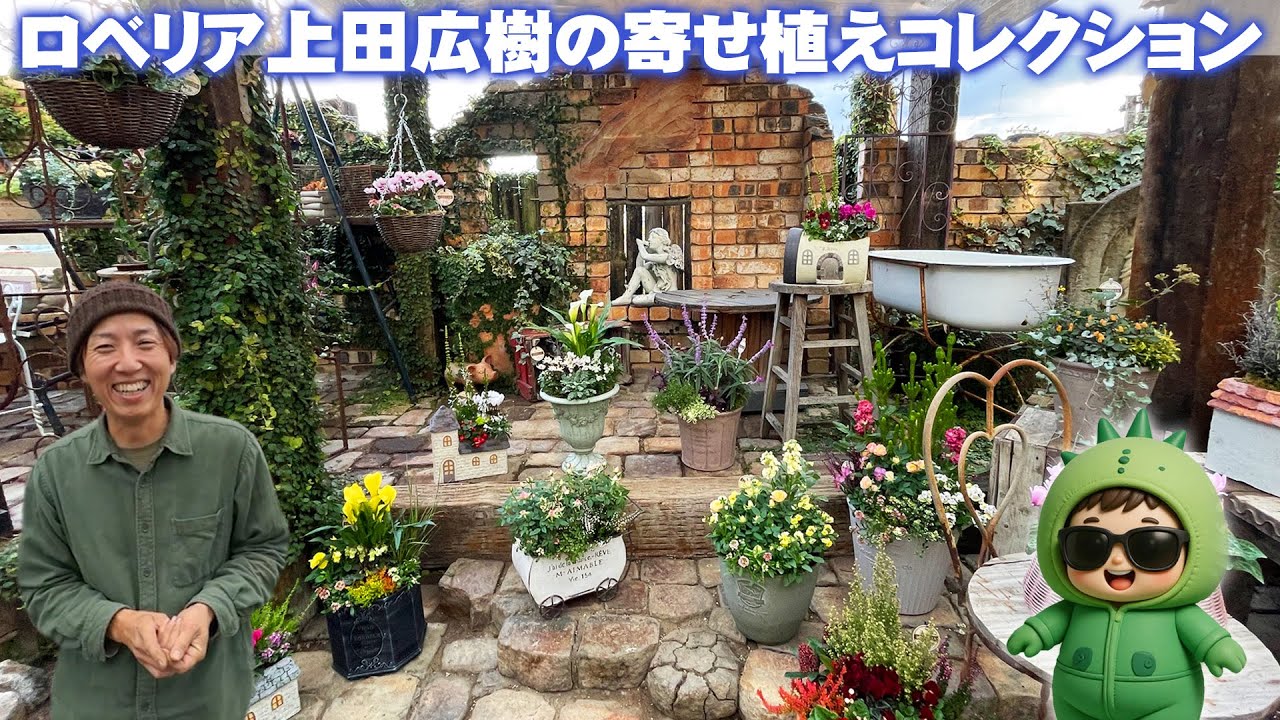 【2025秋冬の寄せ植え】緊急ロケ！堺市に来てたので人気店ロベリアに立ち寄って季節の寄せ植えをちょこっと撮影してみた（インサート映像で紹介）【上田広樹】