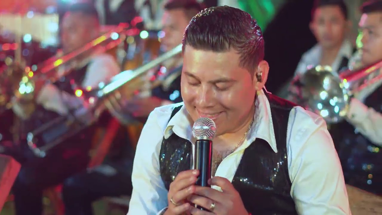 Los Apodados · Tributo a Pequeños Musical 2