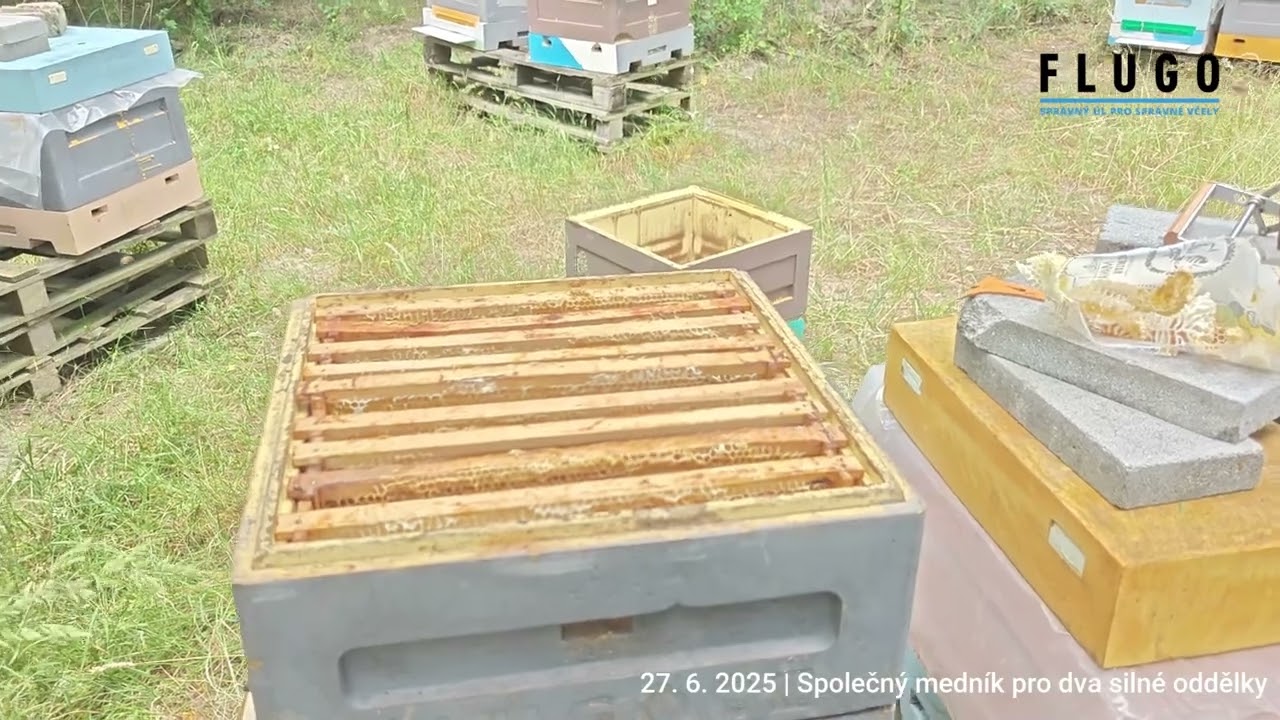 Společný medník pro dva silné oddělky | 27. 6. 2025
