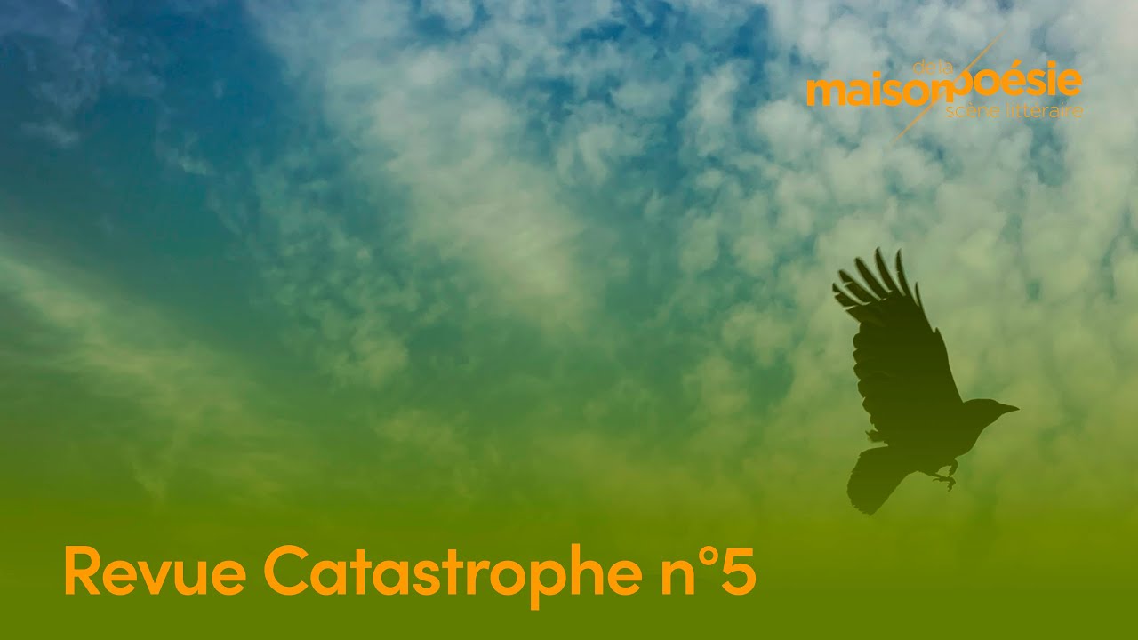 Revue Catastrophes n°5 : La fin de l’aventure