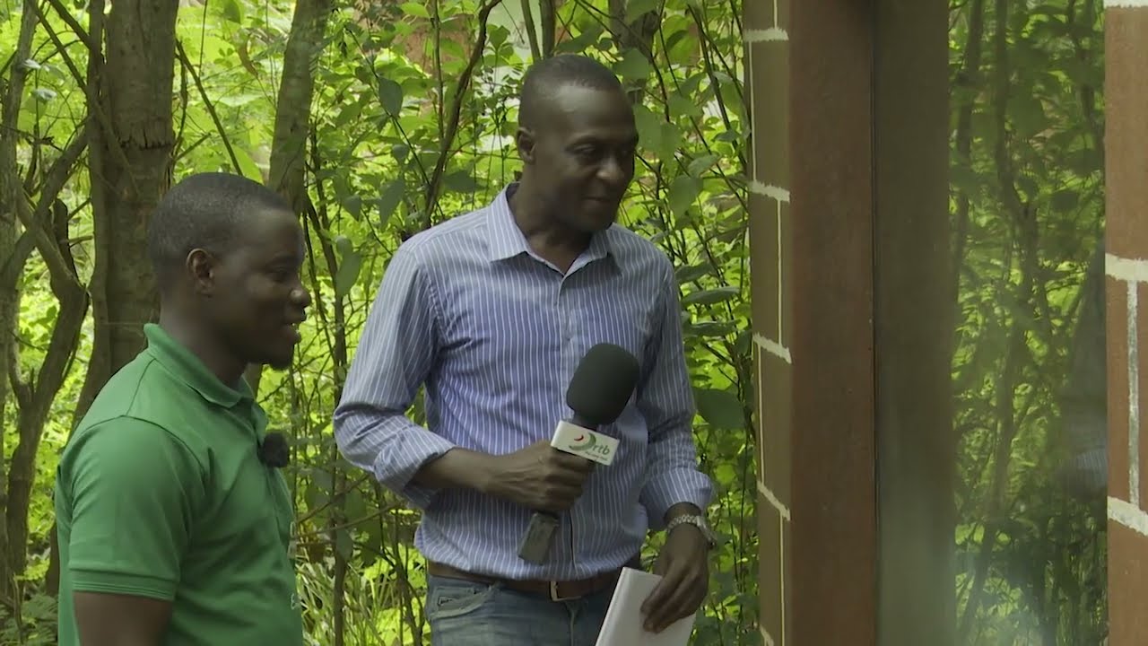 Réserve de sitatunga au Bénin : un espace de préservation de biodiversité