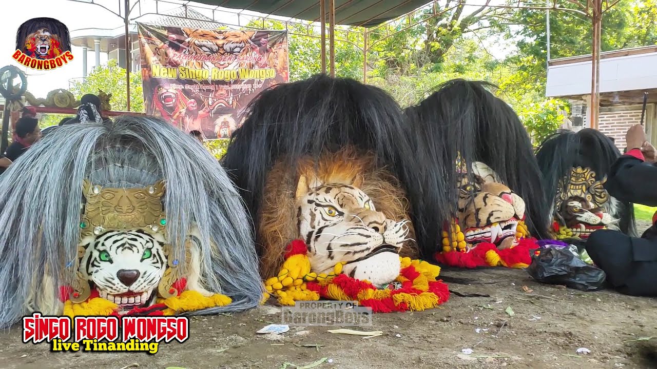 Atraksi Pembukaan Barongan Galak, Suguh Sesaji ! Barongan SIngo RogoWongso live Tinanding BarongBoys