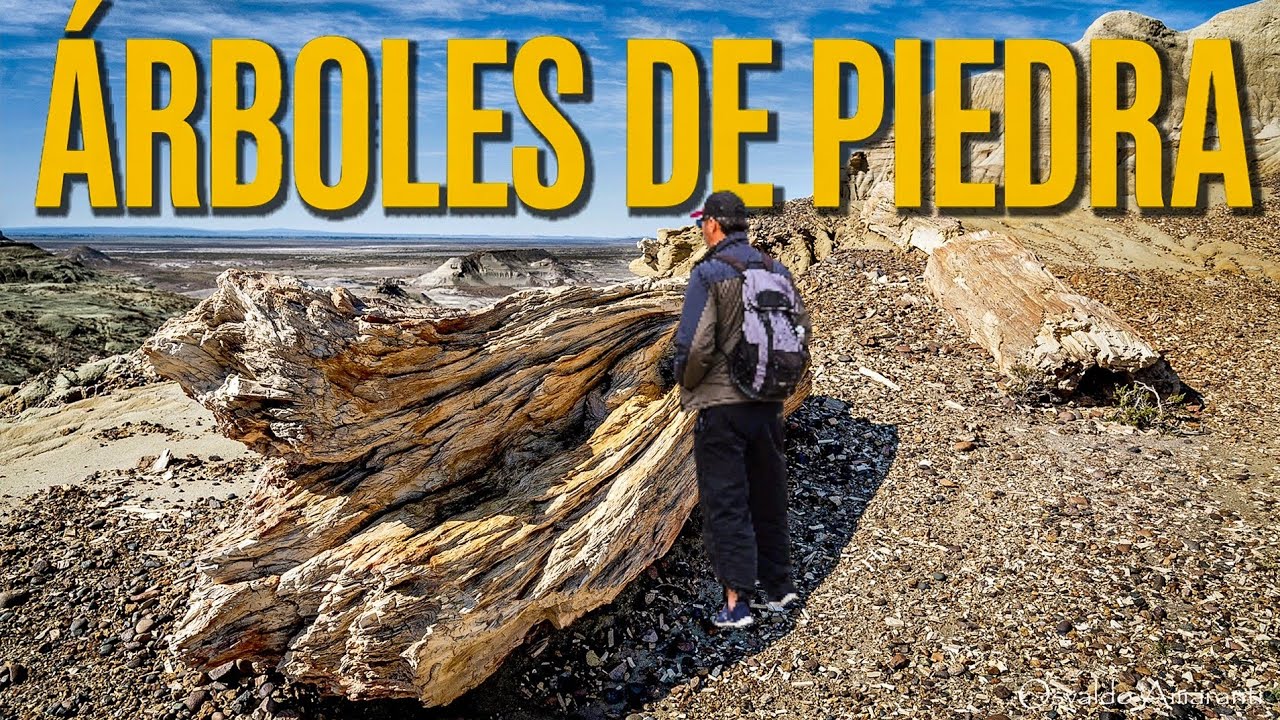 ¡IMPRESIONANTE! Los ÁRBOLES DE PIEDRA de Argentina.