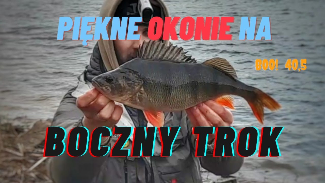 NIESAMOWITY OKOŃ NA BOCZNY TROK / OSTATNI WYPAD NA OKONIA PRZED ZIMĄ W 12.2021.r / PIEKNY OKOŃ Z PZW
