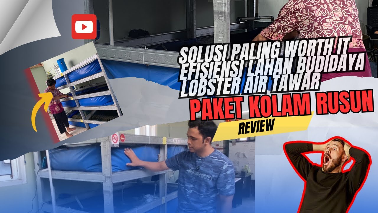 LAHAN SEMPIT⁉️BUKAN PATOKAN DALAM BERBUDIDAYA LOBSTER AIR TAWAR🦞| REVIEW KOLAM RANGKA RUSUN🦞