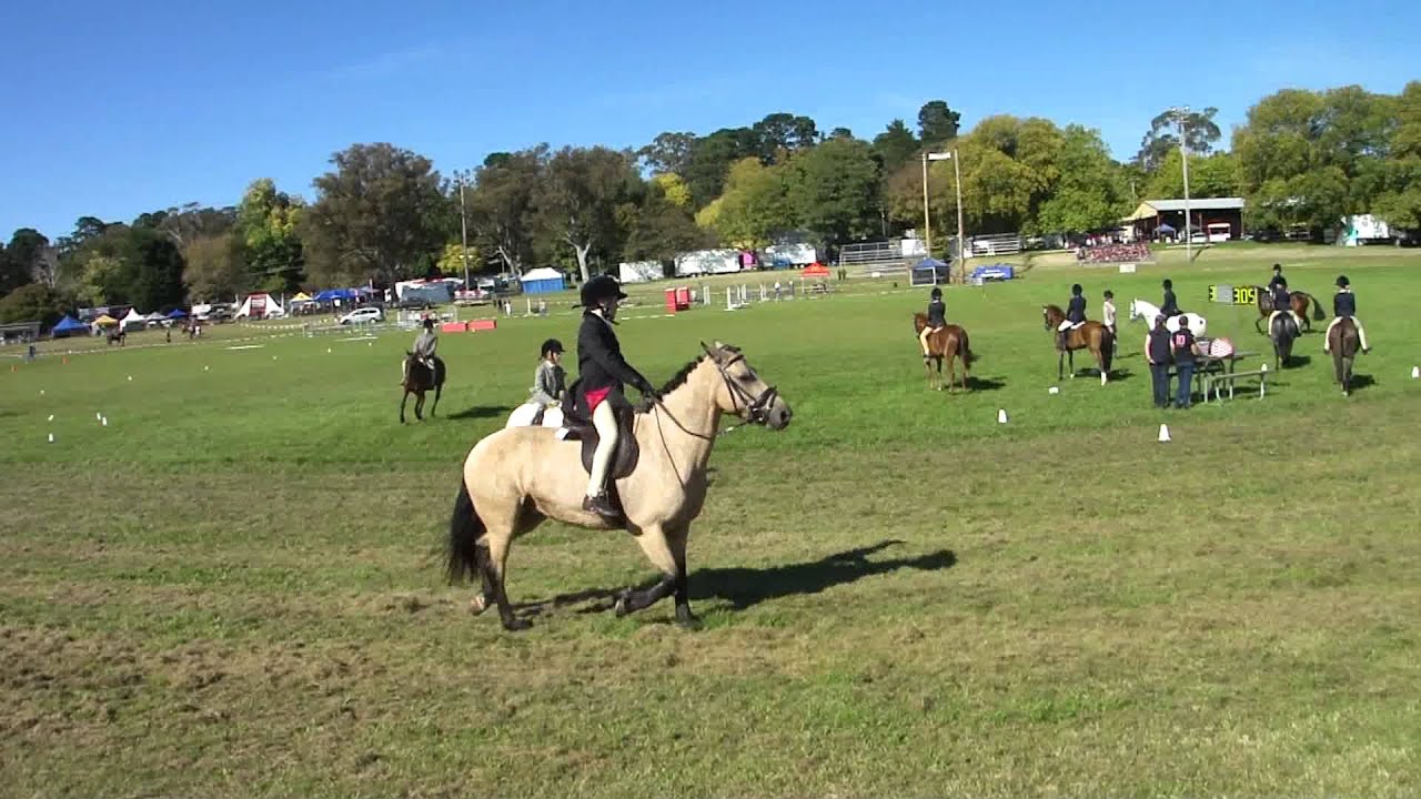 Moss Vale Show 2012
