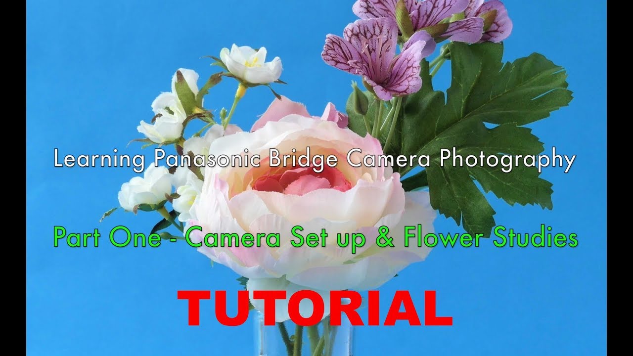 Учебное пособие по фотосъемке с камерой Panasonic Lumix Bridge &mdash; Часть первая