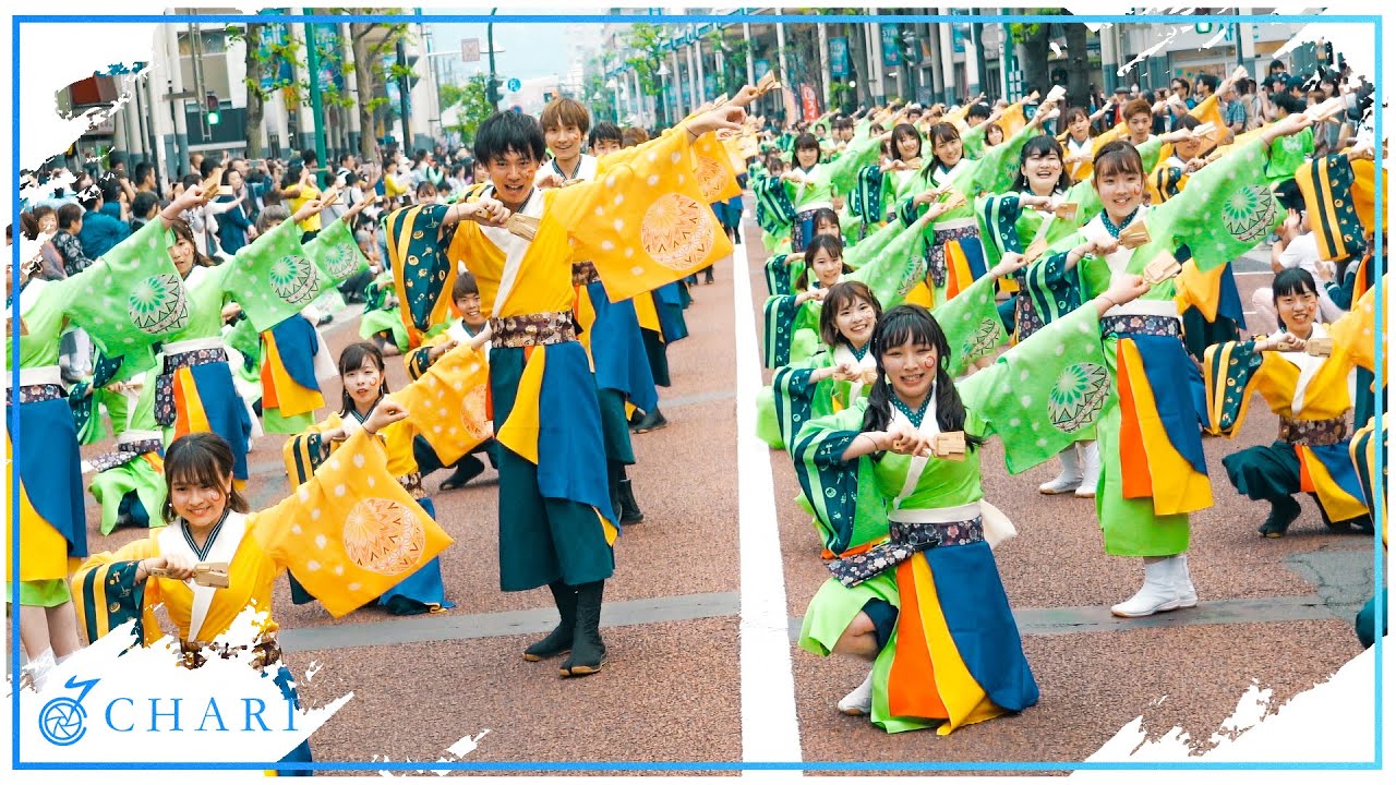 【4K】早稲田大学東京花火｜あそばせ（湘南よさこい2019）