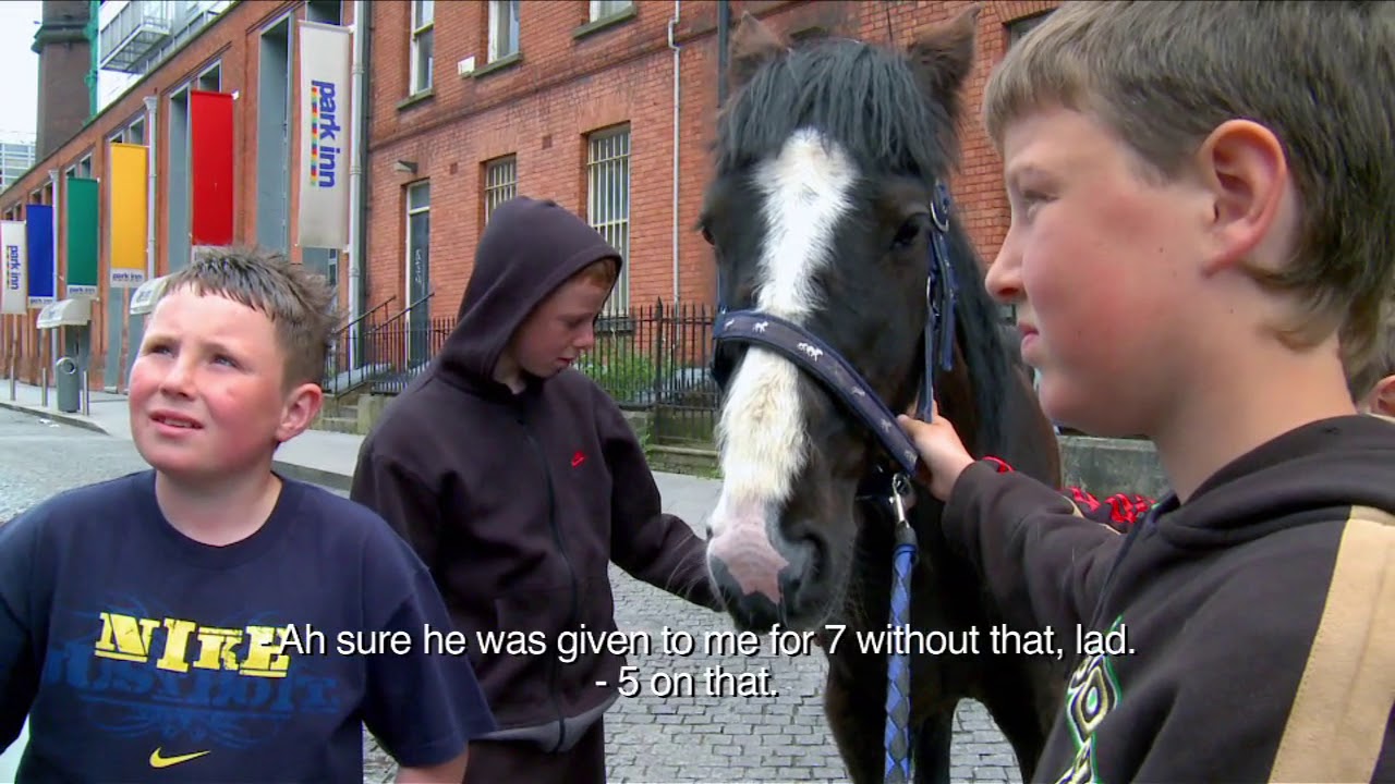 Dublin Horse Fair (Ireland, 2010)