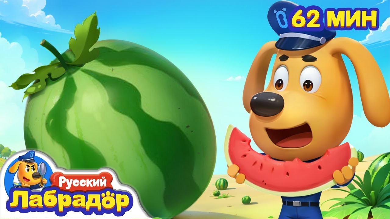 🍉У меня в животе растет арбуз | Правила Безопасности | 🔍Сборник мультиков для детей | Шериф Лабрадор