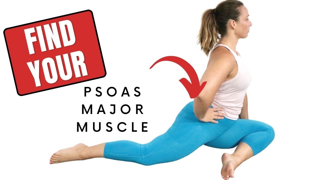 Where's the Psoas Major Muscle? [Origin, Insertion, Anatomy, Palpation]