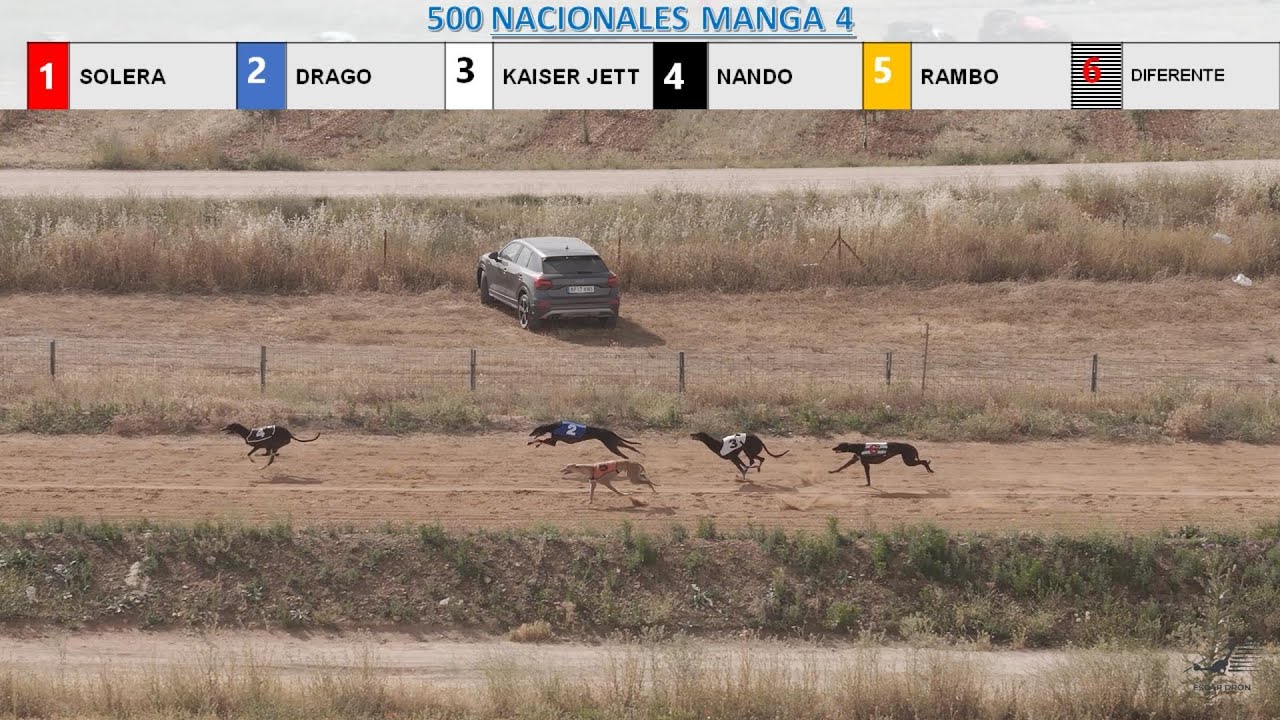 5ª Carrera de Liga Galgos FEG Campeonato de Madrid 2025
