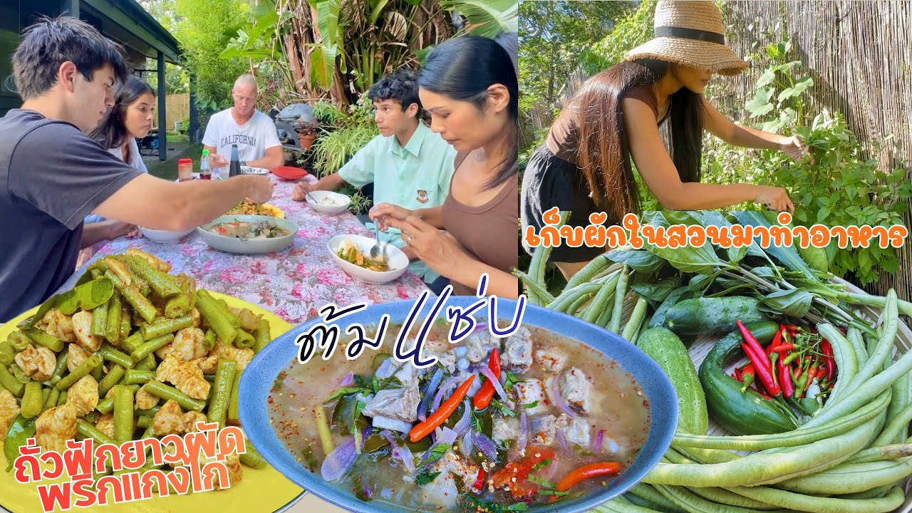 Ep.347 ต้มแซ่บซี่โครงหมูอร่อยแซ่บถูกใจทุกคน ถั่วฝักยาวผัดพริกแกงไก่เมนูนี้ไม่ได้กินนานแล้ว