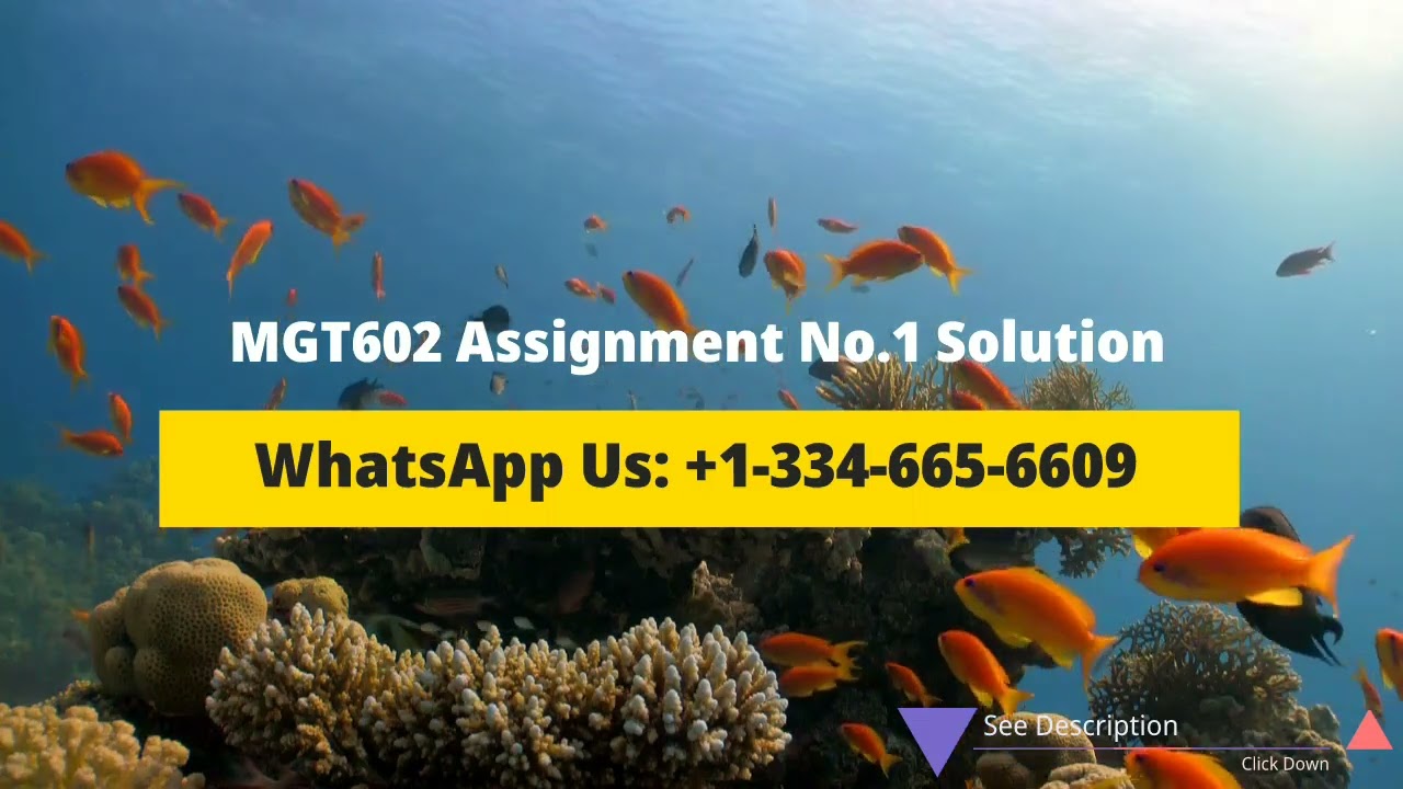 MGT602 Assignment No. 1 Solution Spring 2023