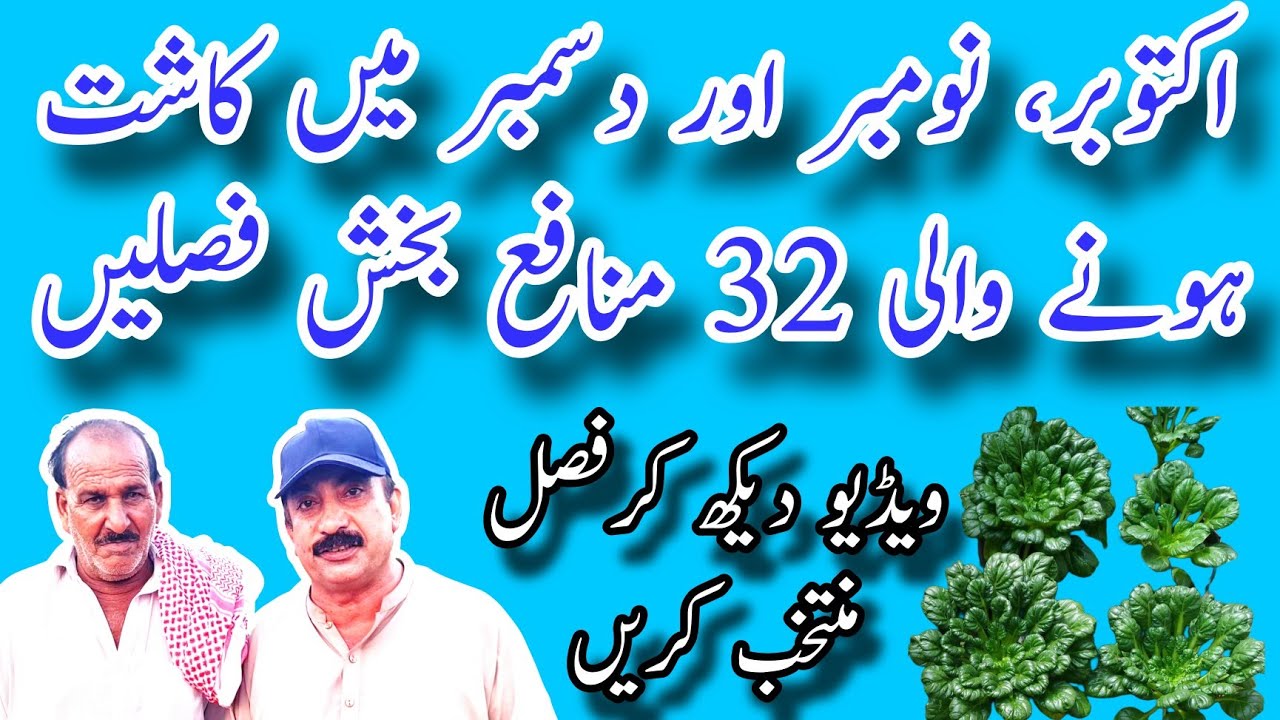اکتوبر،نومبر اور دسمبر میں کاشت ہونے والی32 منافع بخش فصلیں
