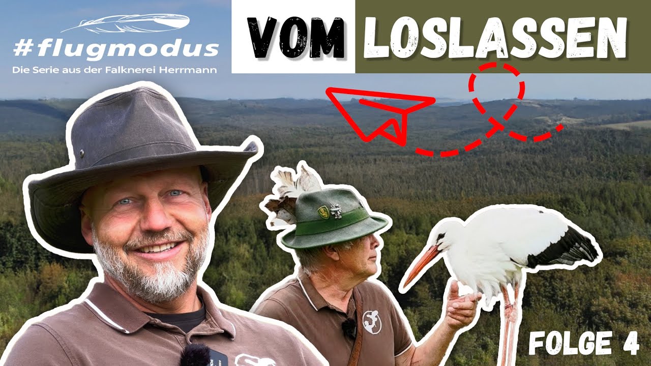#flugmodus - Die Serie aus der Falknerei Herrmann, Folge 4