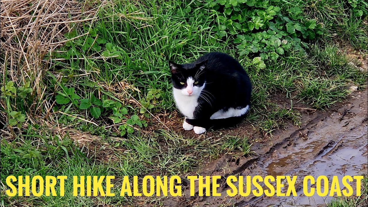 A Short Coastal Hike between Worthing and Shoreham-by-Sea (New Hike Sunday)