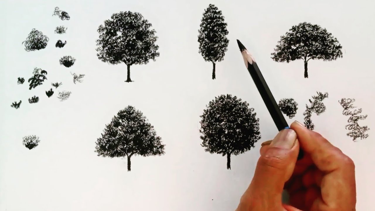 How to draw trees with pencil ! Drawing ideas for beginners !!