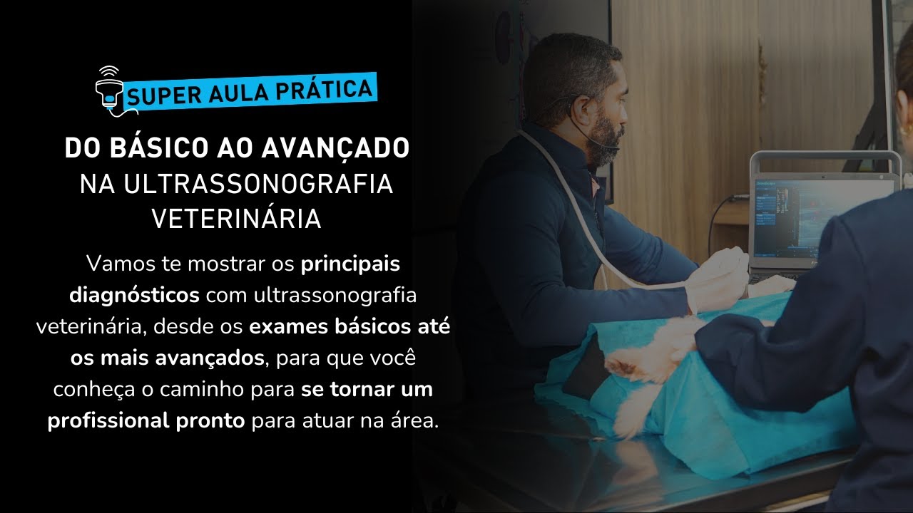 Super Aula: Ultrassonografia em Pequenos Animais do Básico ao Avançado