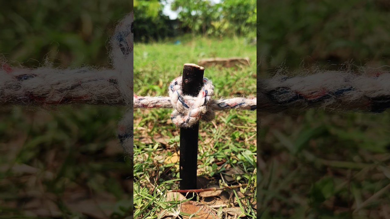 The Strongest Rope Knot You Should Know! 😳 #shorts #youtubeshorts