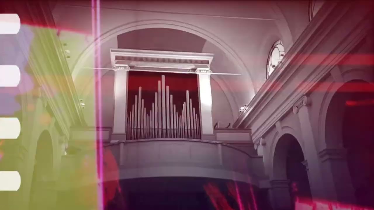 Organi del Mantovano: Suzzara 