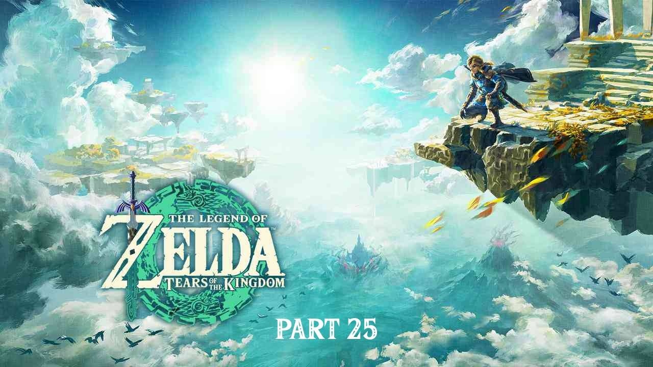 The Legend of Zelda: Tears of the Kingdom - Part 25