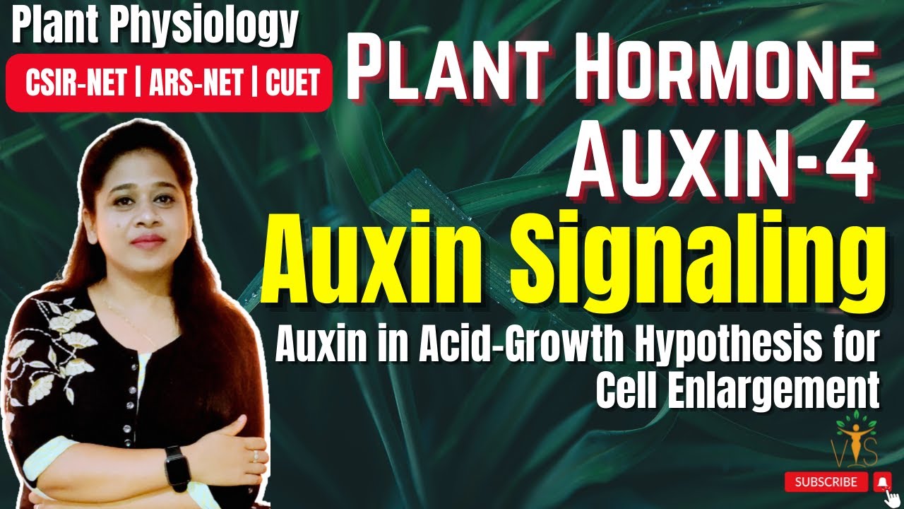Plant Hormone Auxin (Part -4) Mode of Action | Auxin Signaling | F Box Protein | CSIR-NET