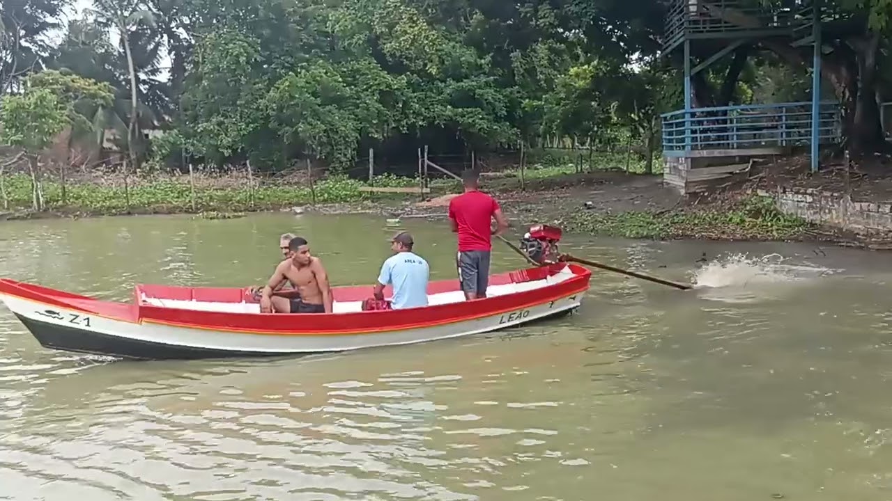 Esse é meu quintal 
