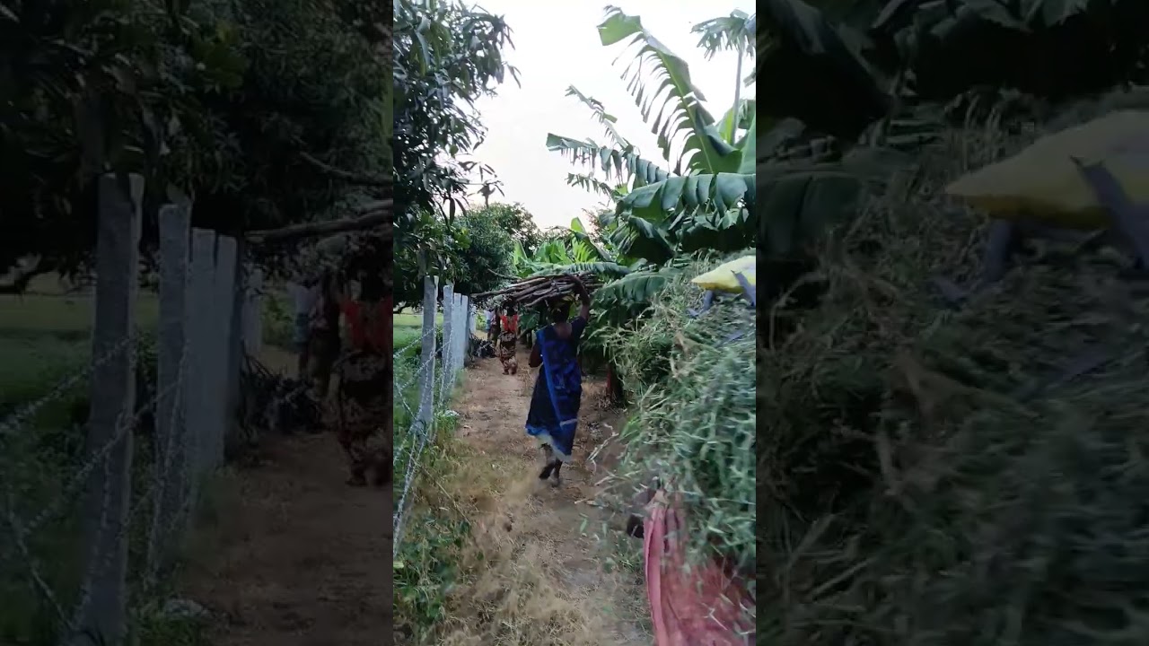 #villagelife