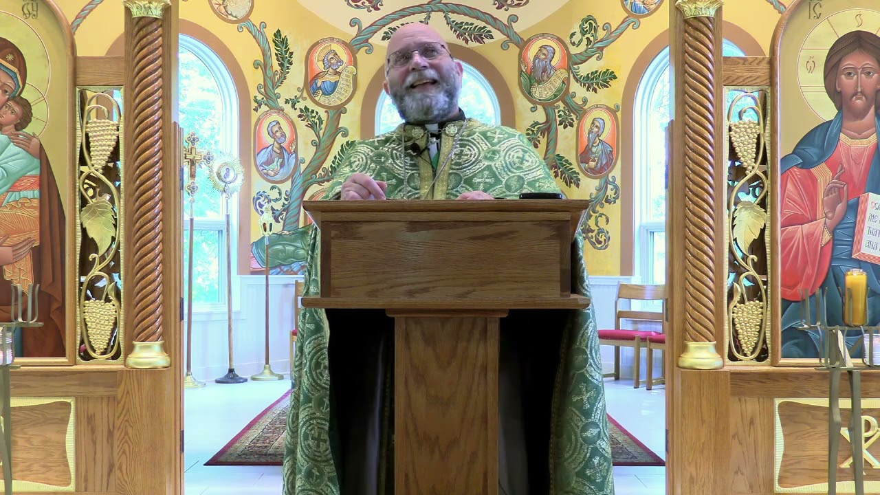 Homily for the 5th Sunday After Pentecost (Jul 13, 2025) - Fr. Fred Shaheen